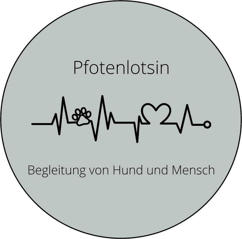 Ernährungsberatung für Hunde und Hundetraining für kleine Hunde
