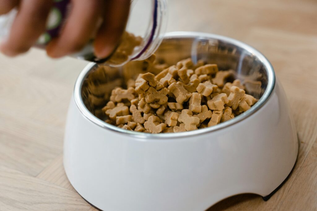 Alleinfuttermittel für Hunde, bedarfsgerecht, Berechnung, Hundeernährungsberatung