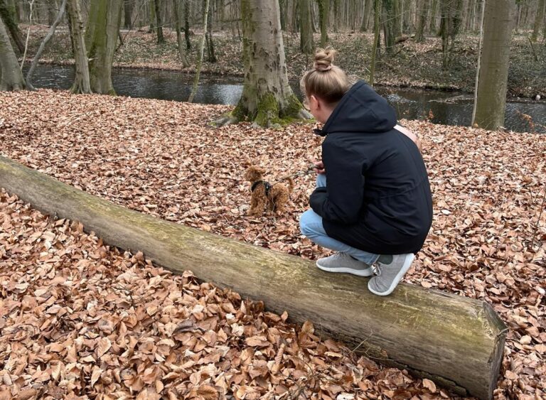Soziale Arbeit Hundetraining