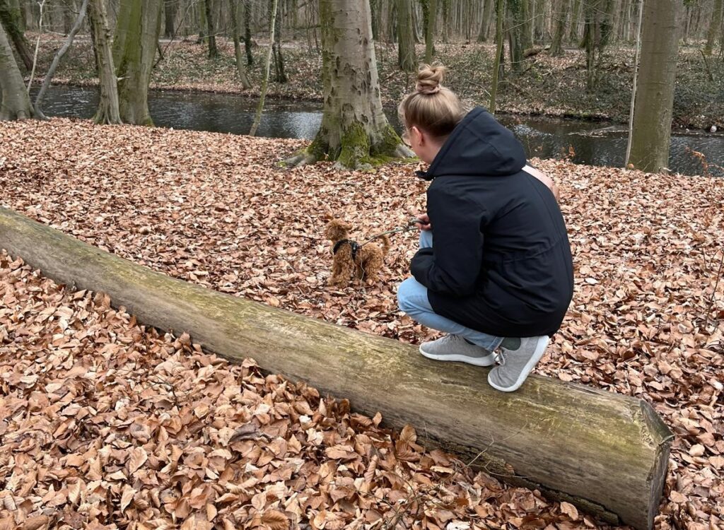 Warum Soziale Arbeit und Hundetraining so gut zusammenpassen