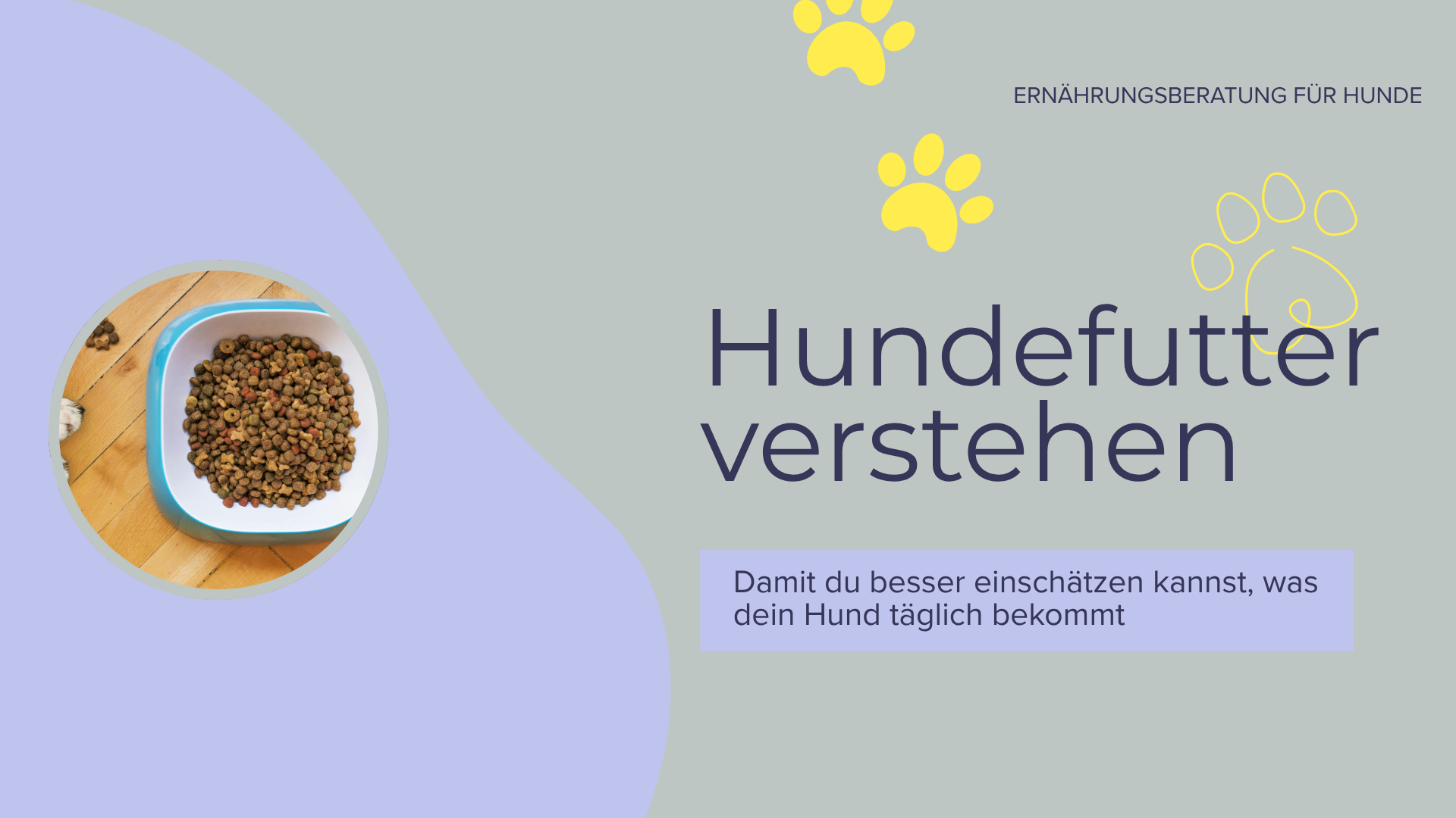 Hundefutter verstehen, Deklaration, Hundefutter Etikett lesen, Futterverpackung, Rohprotein, Rohfett, Rohasche, Alleinfuttermittel, tierische Nebenerzeugnisse