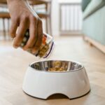 Hundefutter richtig lagern und aufbewahren