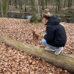 Soziale Arbeit Hundetraining